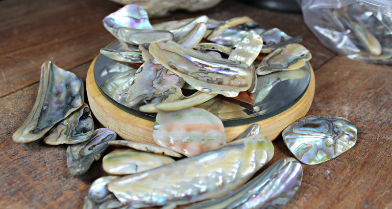 Tumbled Abalone for Chakra work and intuition