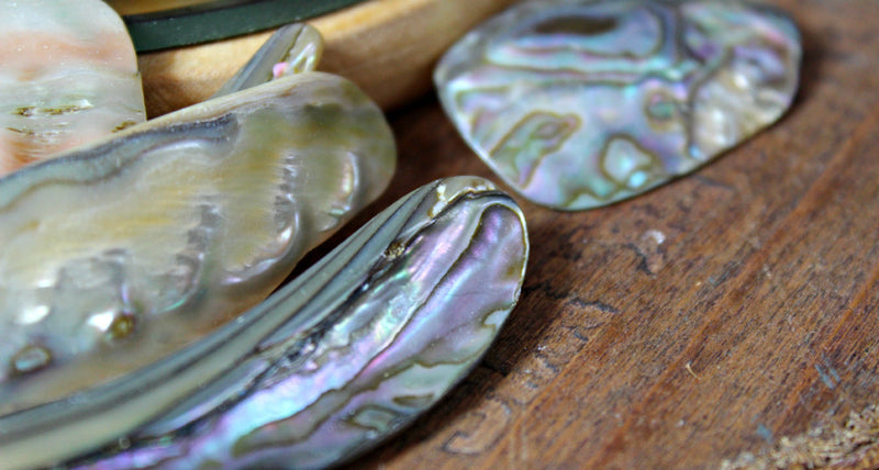 Tumbled Abalone for Chakra work and intuition