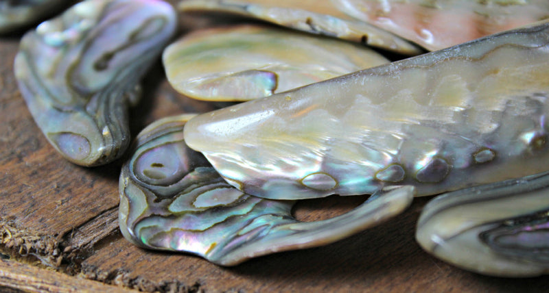 Tumbled Abalone for Chakra work and intuition