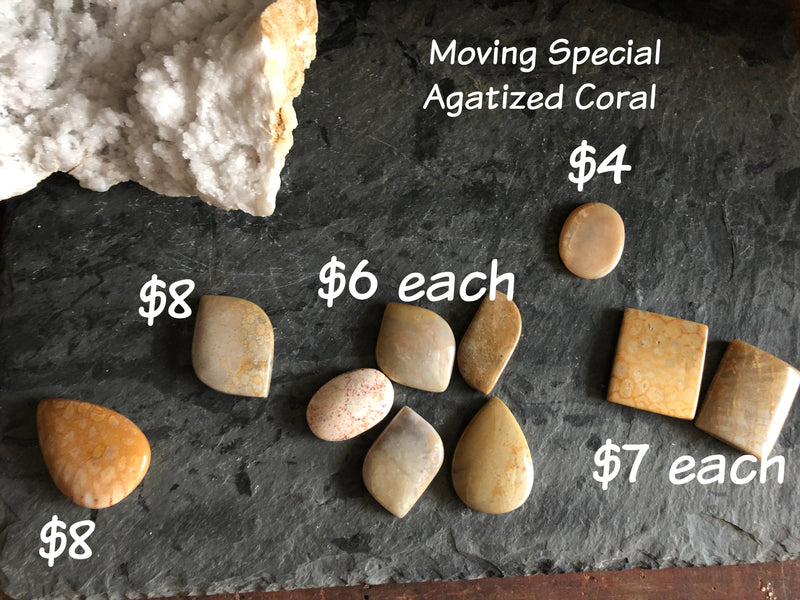 Agatized (fossilized) Coral Polished Cabochons FB1937 💚