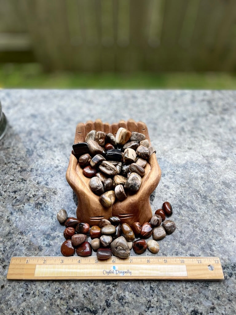 Tumbled Petrified Wood for Patience & Grounding and overcoming obstacles