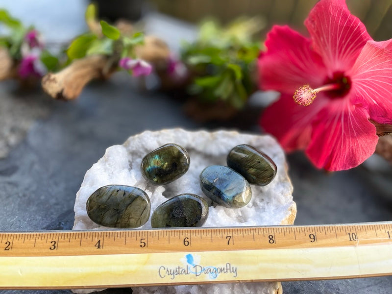 Labradorite Hand Pebbles with Flash - The Stone of Magic and Inner Spirit FB1398