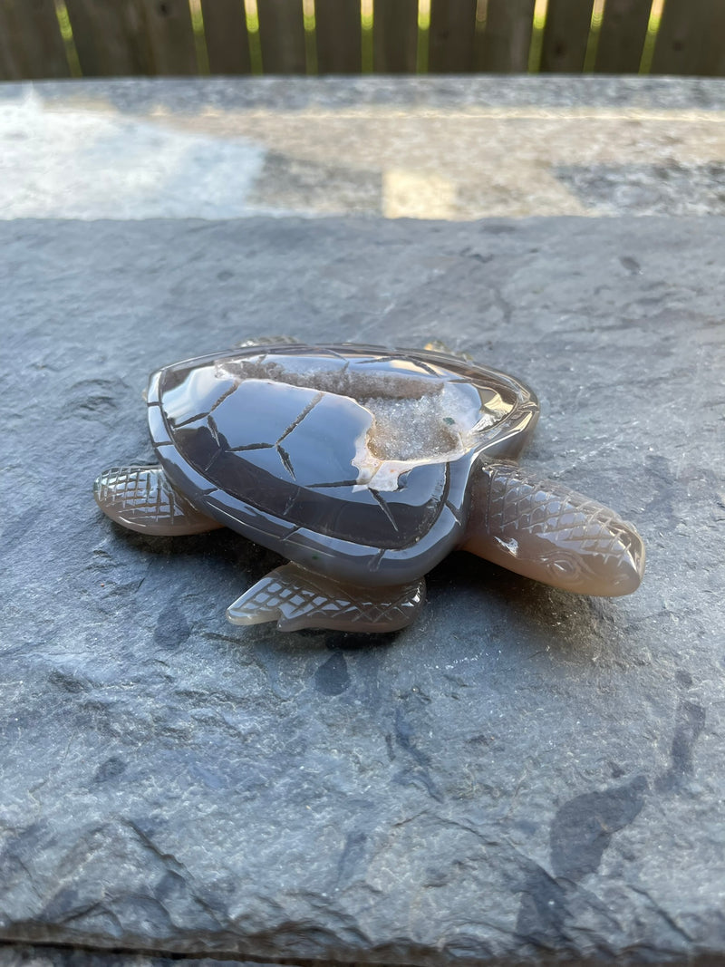 Agate Geode / Drusy Sea Turtle, Spirit / Totem Animal FB2079