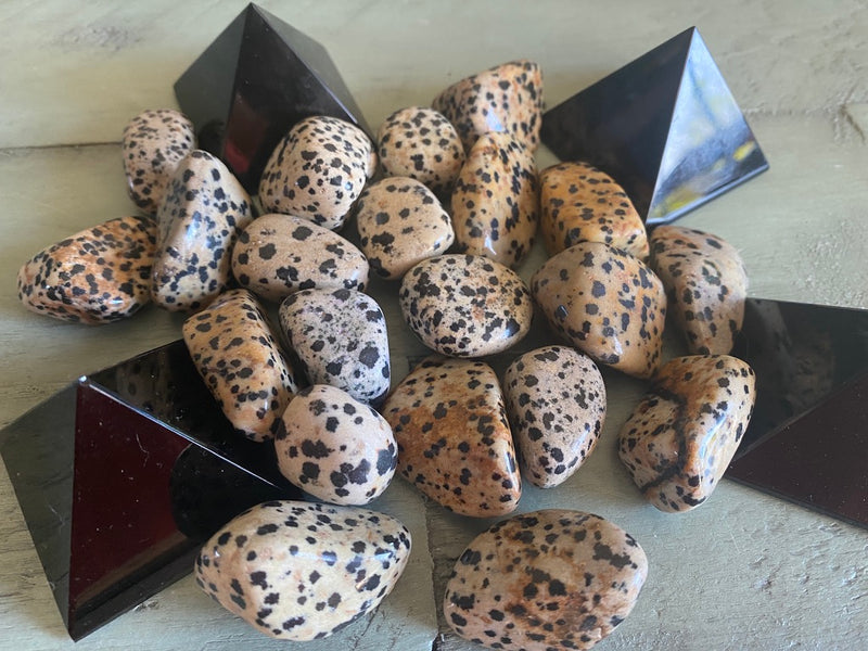 Tumbled Dalmatian Jasper - Teamwork, Cooperation, Strengthens Friendships