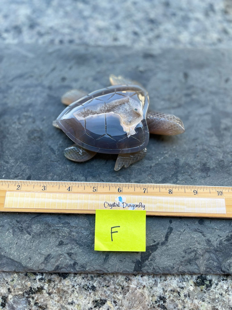 Agate Geode / Drusy Sea Turtle, Spirit / Totem Animal FB2079