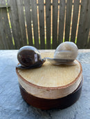 Agate Geode Drusy Carved Snail FB1055 π