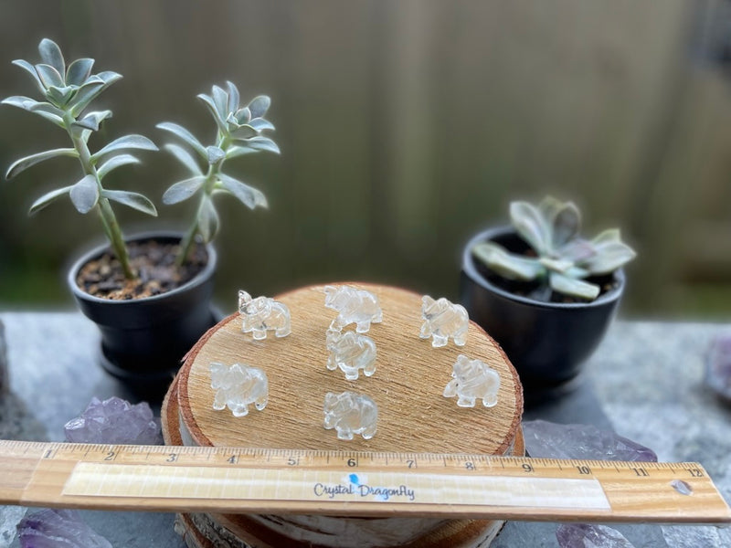 Elephant Totem/Spirit Animal Carving, Clear Quartz, Hand Carved FB1065