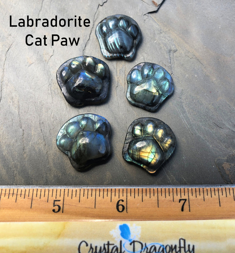 Purple Fluorite or Labradorite Cat Paw, Totem / Spirit Animal FB2318