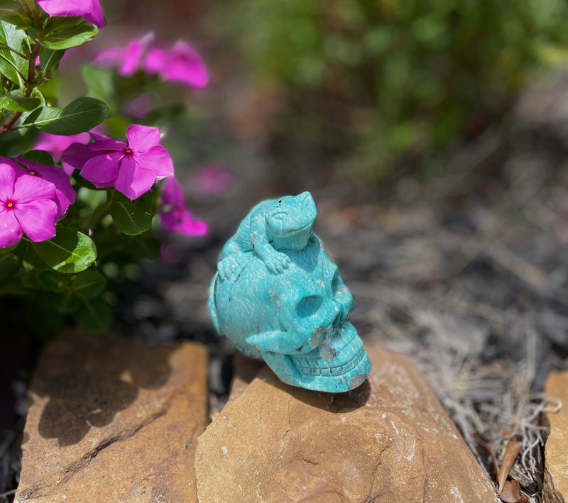 Amazonite (with smoky quartz and black tourmaline), AA Quality Skull with Lizard FB2626