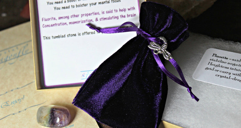 Dragonfly Gem Pouch -Fluorite-Gift for Focus, Memory, Clarity, Concentration