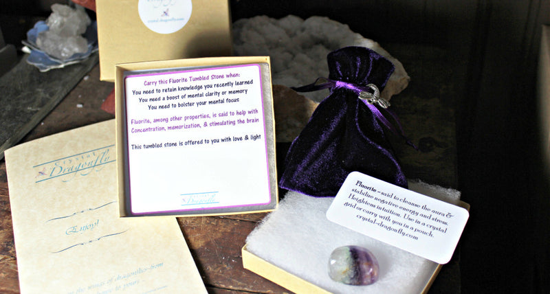Dragonfly Gem Pouch -Fluorite-Gift for Focus, Memory, Clarity, Concentration