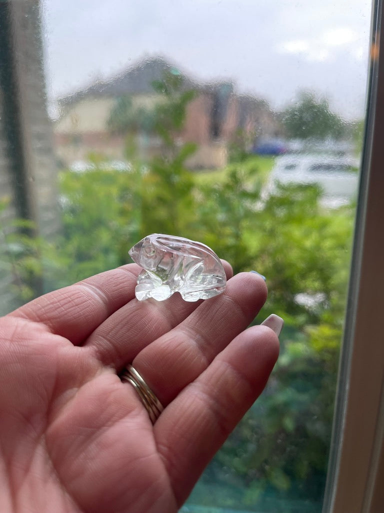 Frog Totem/Spirit Animal Carving, Hand Carved in Clear Quartz FB1062