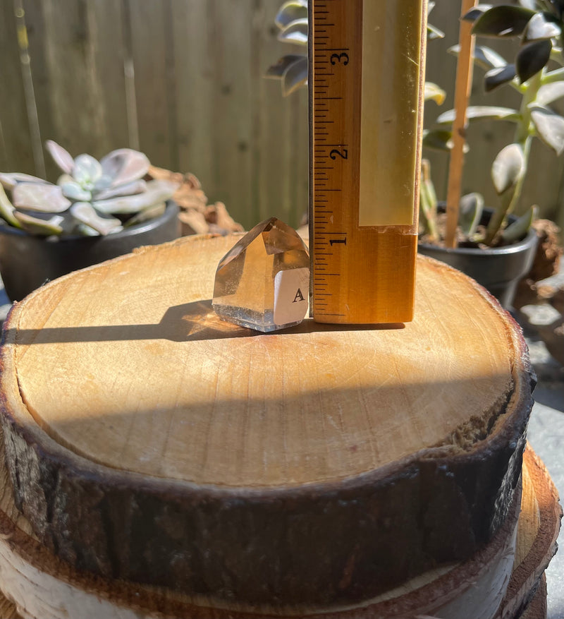 Smoky Quartz Standing Polished Point (Tower) from Brazil FB3195