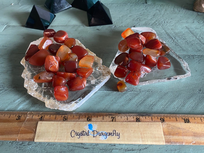 Tumbled Carnelian - Grounding, Vitality & Motivation