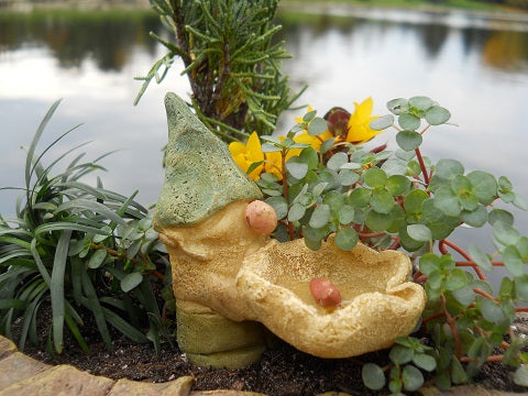 Fairy Garden / Miniature Accessories - Mini Gnome Birdbath - FB1615
