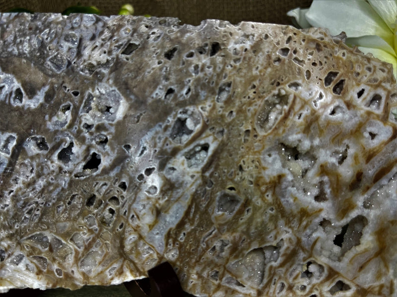 Sphalerite Slab, Large Drusy, excellent quality for stability, grounding and balance FB3206