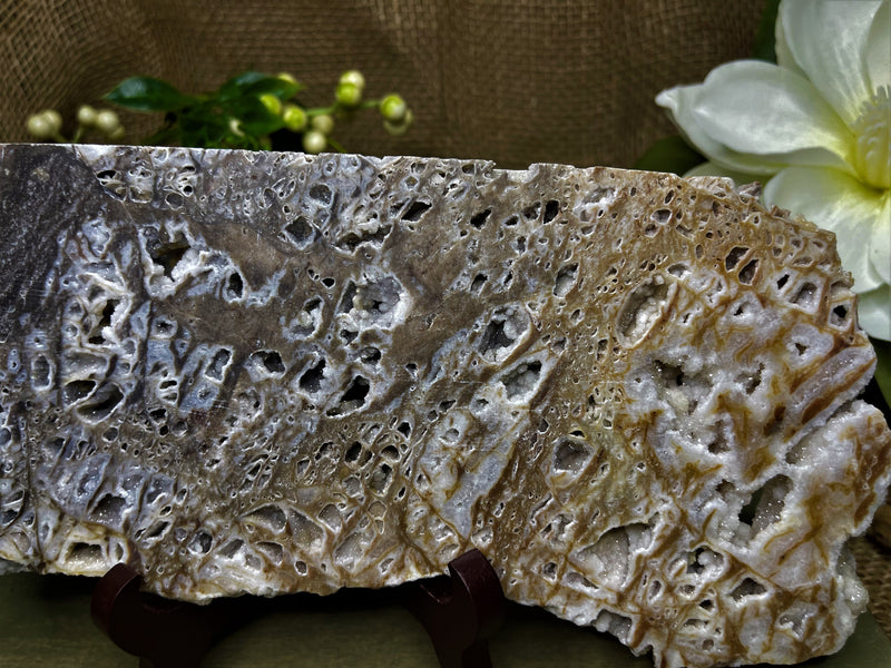 Sphalerite Slab, Large Drusy, excellent quality for stability, grounding and balance FB3206