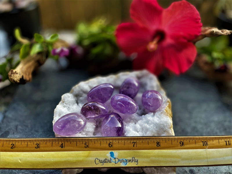 Amethyst Hand Pebble for powerful healing and stress relief FB3007