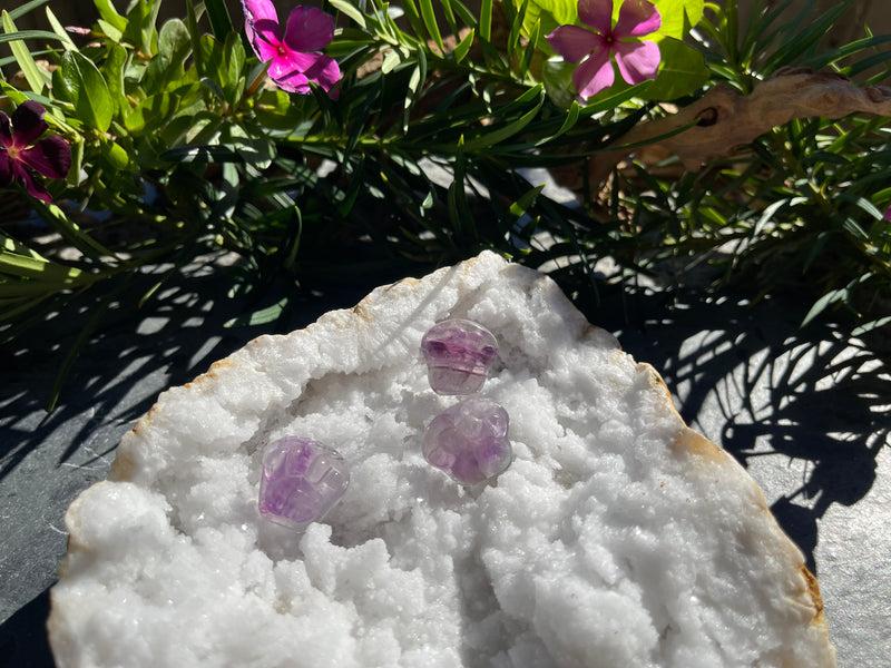 Purple Fluorite or Labradorite Cat Paw, Totem / Spirit Animal FB2318