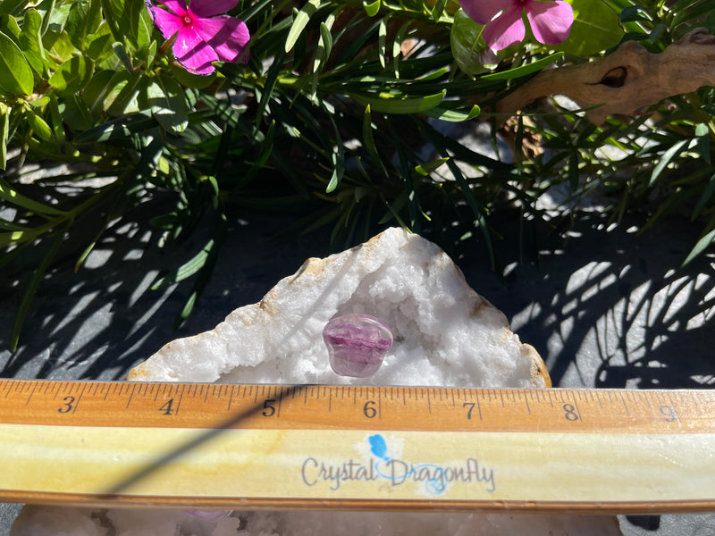 Purple Fluorite or Labradorite Cat Paw, Totem / Spirit Animal FB2318