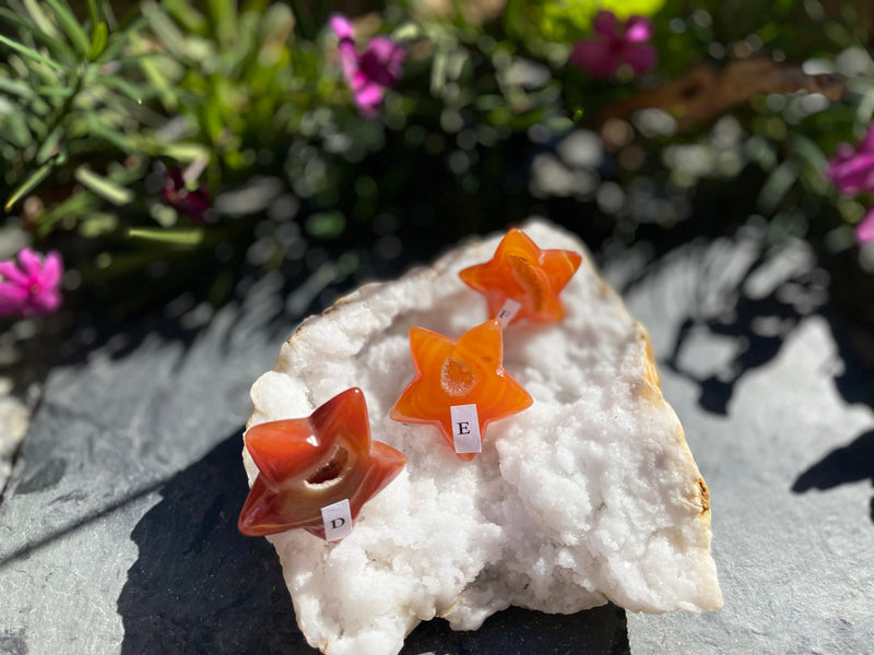 Carnelian Drusy Carved Star for vitality FB3196