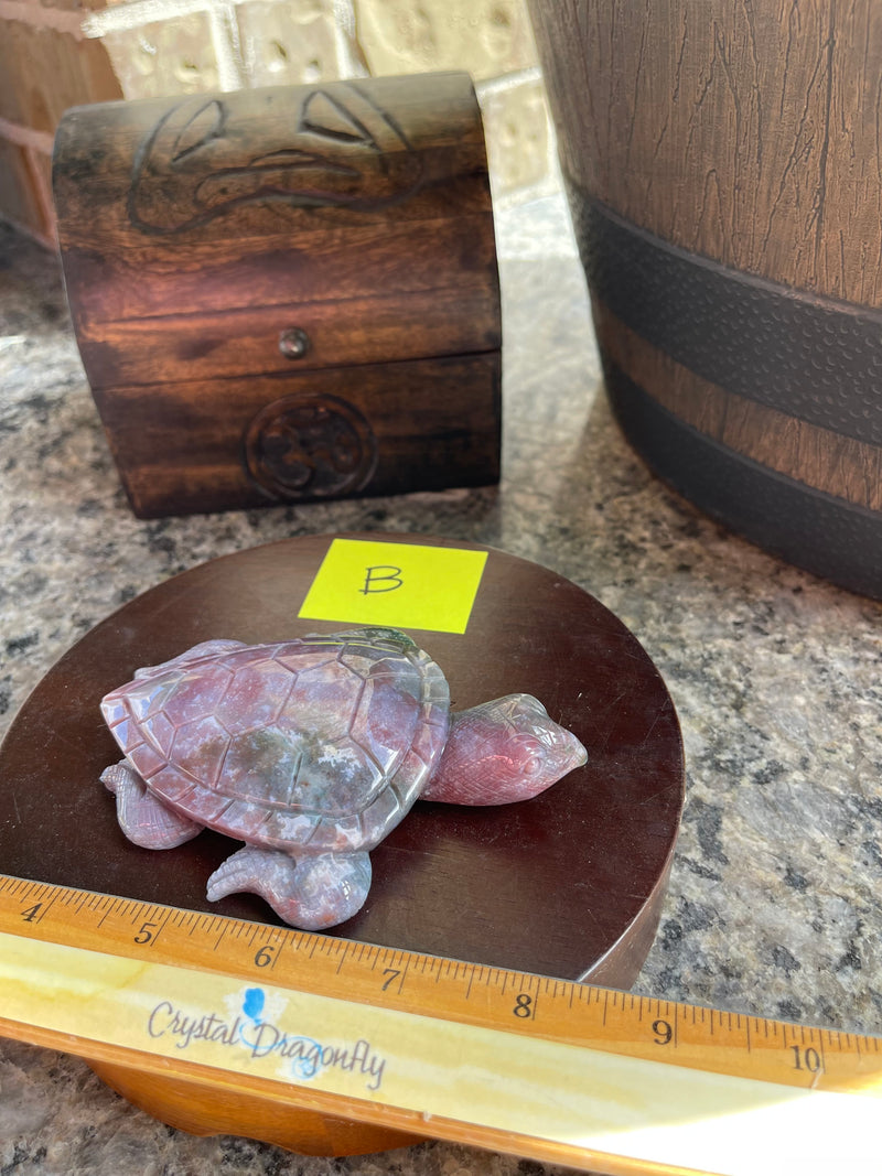India Agate Sea Turtle with rich colors FB2729