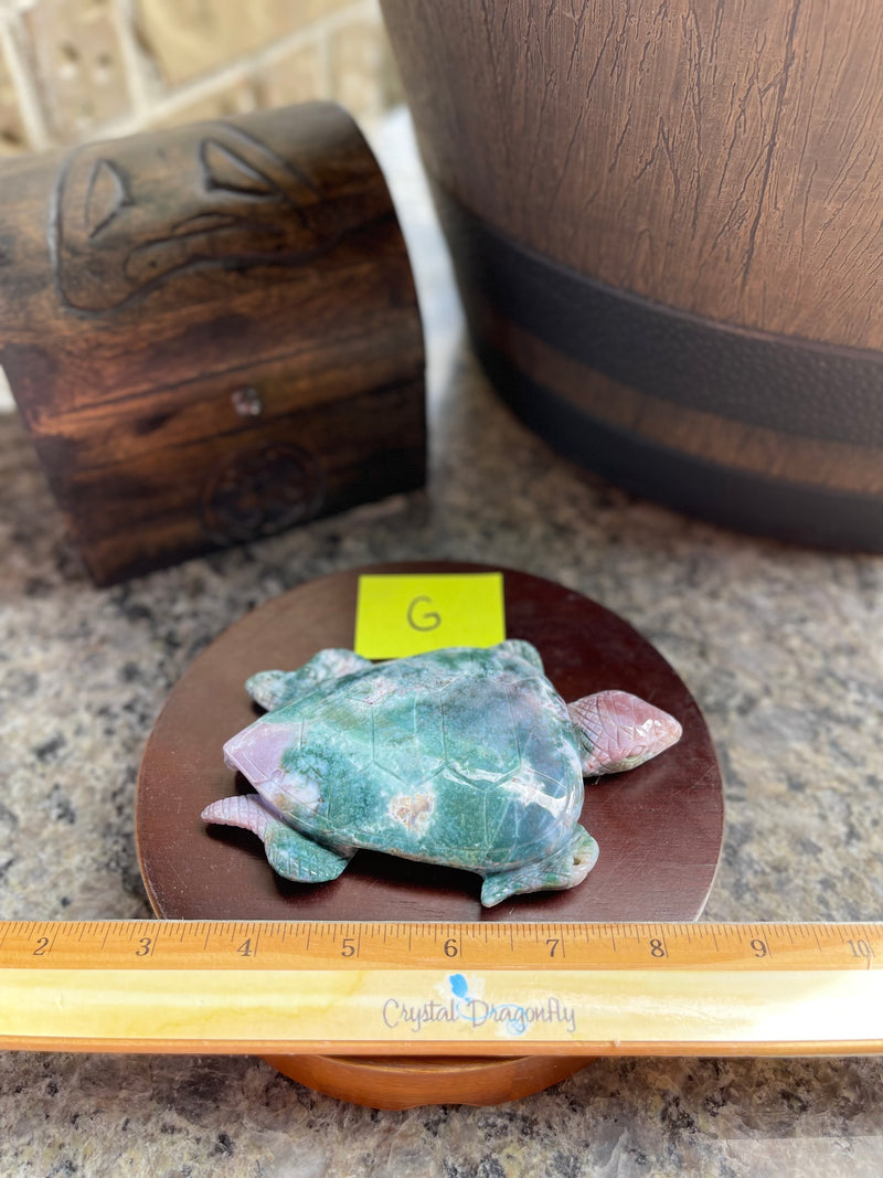 India Agate Sea Turtle with rich colors FB2729