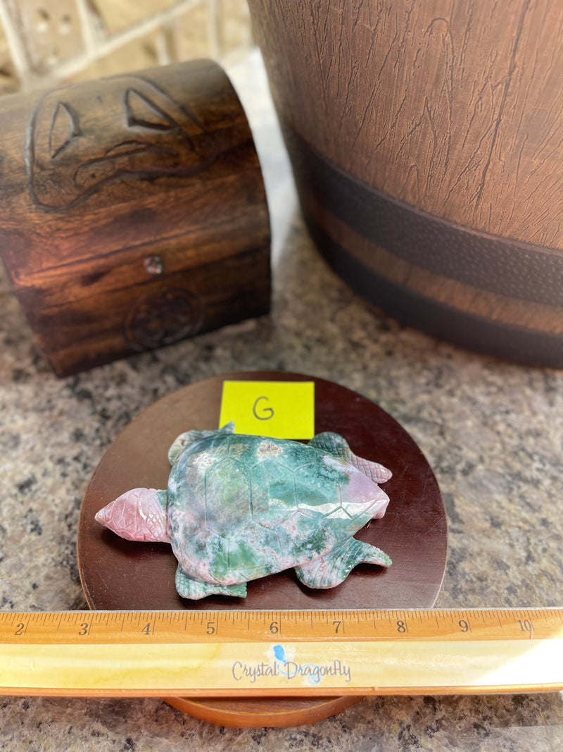 India Agate Sea Turtle with rich colors FB2729