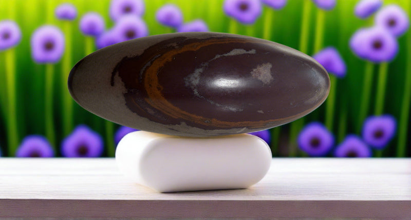 Shiva Lingam Stones - Contentment, Stability, Lower Chakras, Reconciliation FB1131