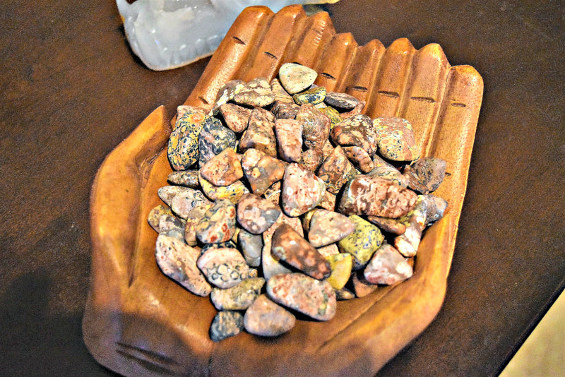 Tumbled Leopardskin Jasper for animal bonding, vitality, and healing; FB1293