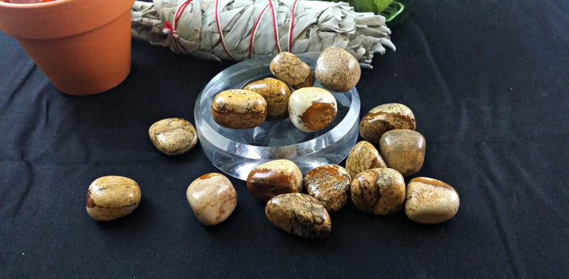 Tumbled Picture Jasper for visions, ideas, grounding and negativity