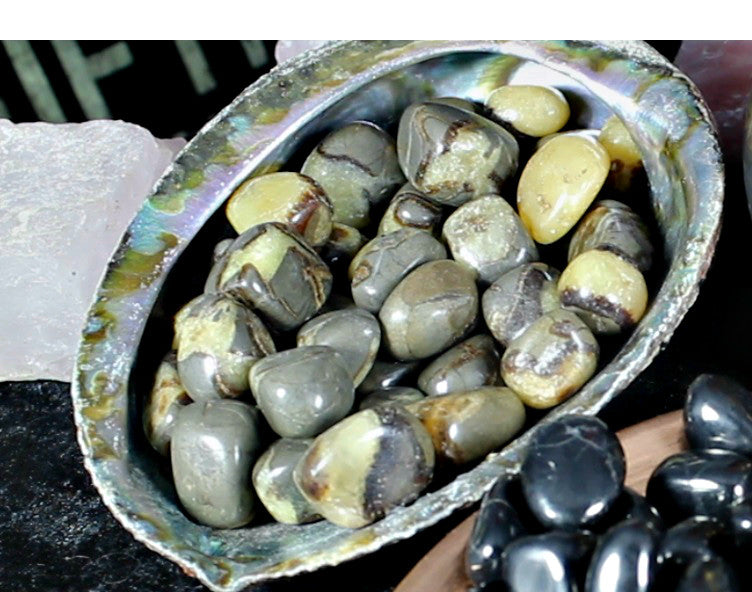 Tumbled Septarian for bonding, grounding and making decisions