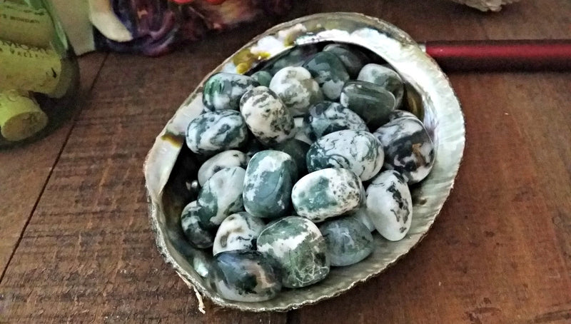Tumbled Tree Agate for calm, centering, fidelity and family