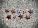 Rough Agate Stars, light, infinity, humanity FB2530