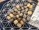 Tumbled Leopardskin Jasper for animal bonding, vitality, and healing FB1293