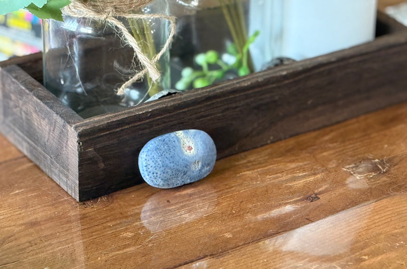 Blue Fossilized Coral Palm Stone FB2680