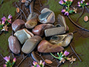 Tumbled Desert (Polychrome) Jasper for stability, focus, nurturing FB1925