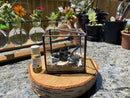 Crystal Energy Terrariums, Complete Collections with Intention FB1201