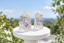 Fire & Ice Clear Quartz (Rainbow Quartz) Generator Point (Tower) with Amethyst Point & Branches FB3162 🌸