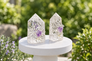 Fire & Ice Clear Quartz (Rainbow Quartz) Generator Point (Tower) with Amethyst Point & Branches FB3162 🌸