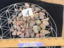 Tumbled Leopardskin Jasper for animal bonding, vitality, and healing FB1293