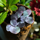 Rainbow Fluorite Oval Worry Stone FB1661 🦋