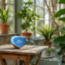 Fossilized Blue Coral Slab from Madagascar for nurturing, protection FB1092 🌸