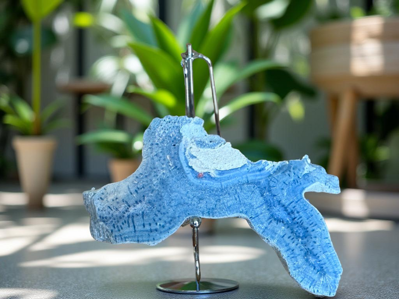 Fossilized Blue Coral Slab from Madagascar for nurturing, protection FB1092 🌸