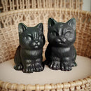 Grumpy Cat Kitten Black Obsidian Carving Totem / Spirit Animal FB2577 🐈‍⬛