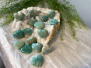 Amazonite Hearts from Madagascar for money, luck, love, and calm FB1032 💚