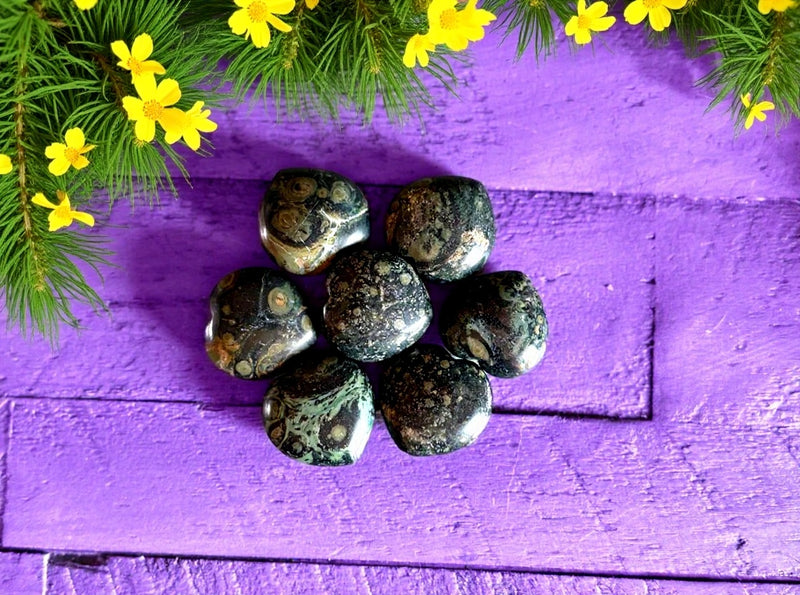 Kambaba Jasper Hearts for focus, nightmares and prosperity FB2297 💚