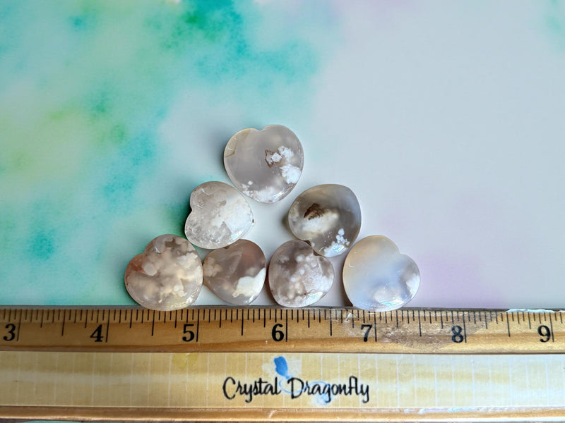 Mini Stars, Moons, Starfish and Hearts FB2268 🌸