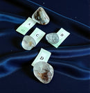 Tumbled Actinolite FB1717