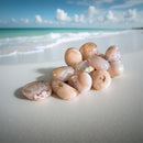 Tumbled Flower Agate 🪷